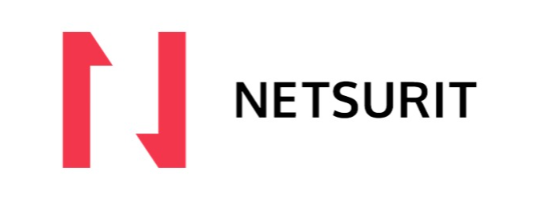 Netsurit logo